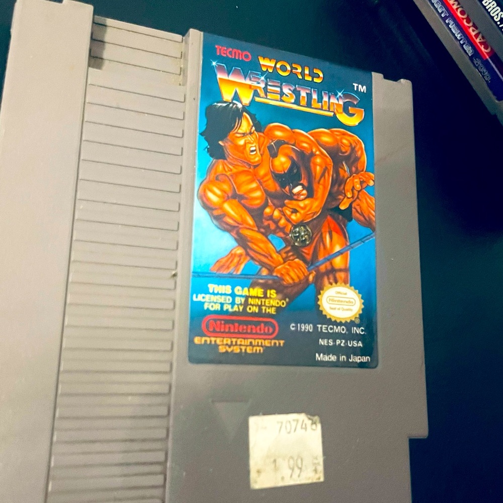 Tecmo World Wrestling NES